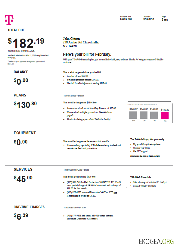 USA T mobile utility bill template in Word and PDF formats, version 4